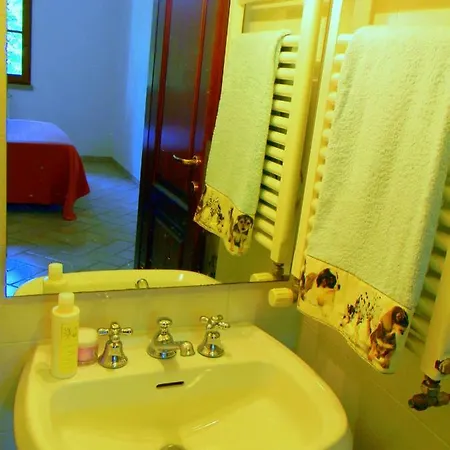 Avanella A 150 Mt Dalla Piscina 150 Mt From Swimming Pool Apartamento Certaldo